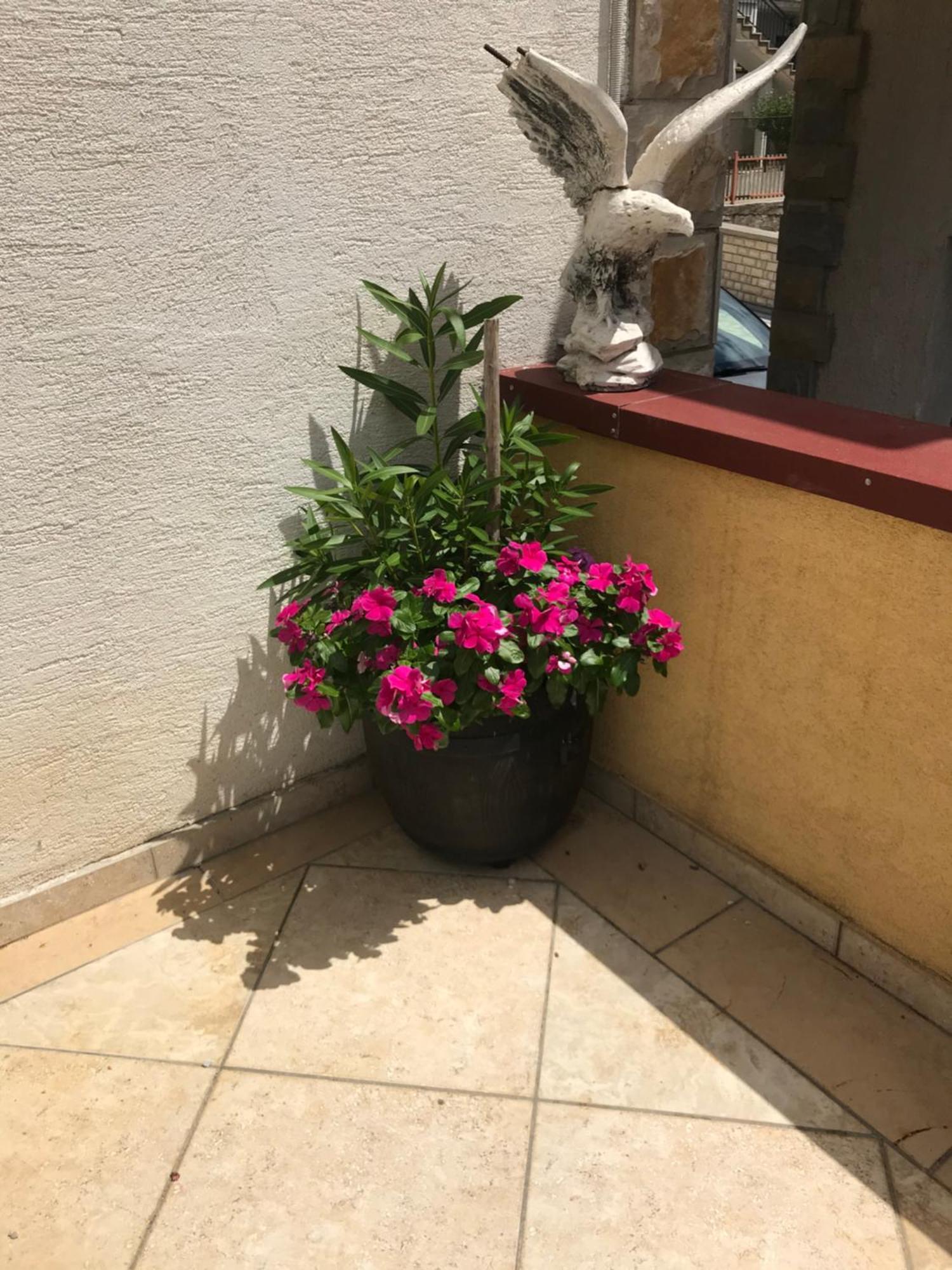 קרלובג Apartman Nadia חדר תמונה