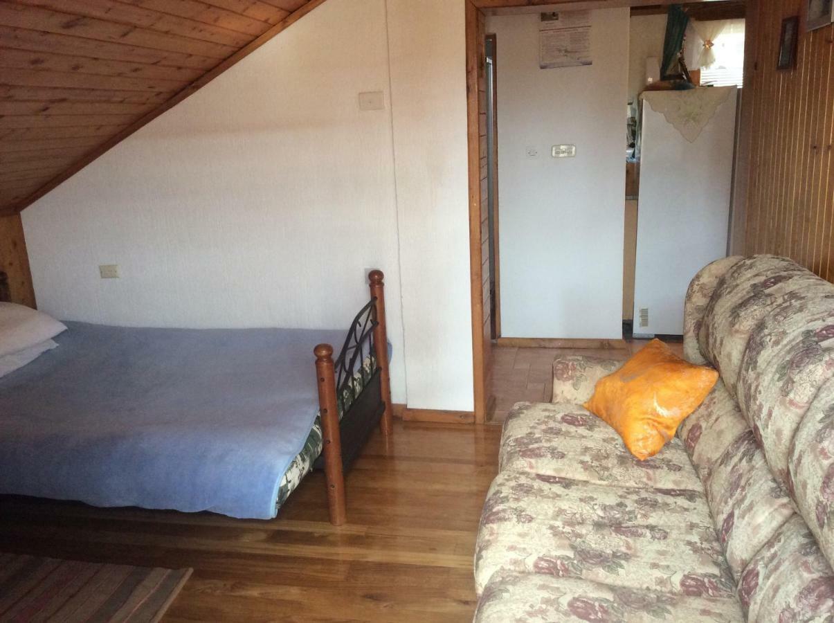 קרלובג Apartman Nadia מראה חיצוני תמונה